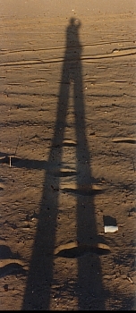 Tall Shadow