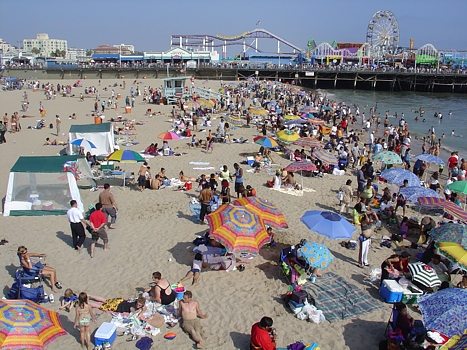 Santa Monica Beach And Pier